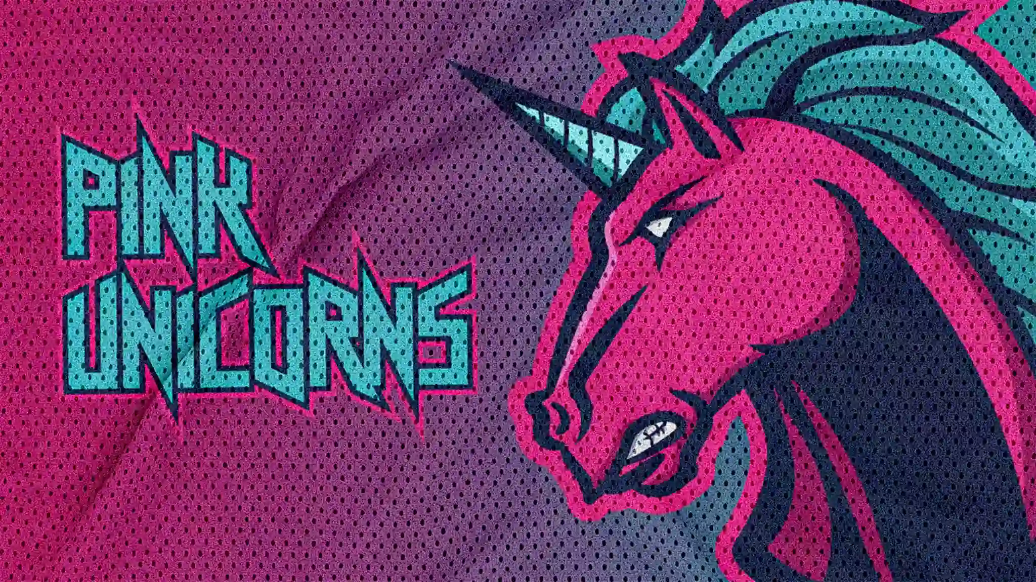 Imagen de banner para web y redes sociales, con el logotipo de Pink Unicorns