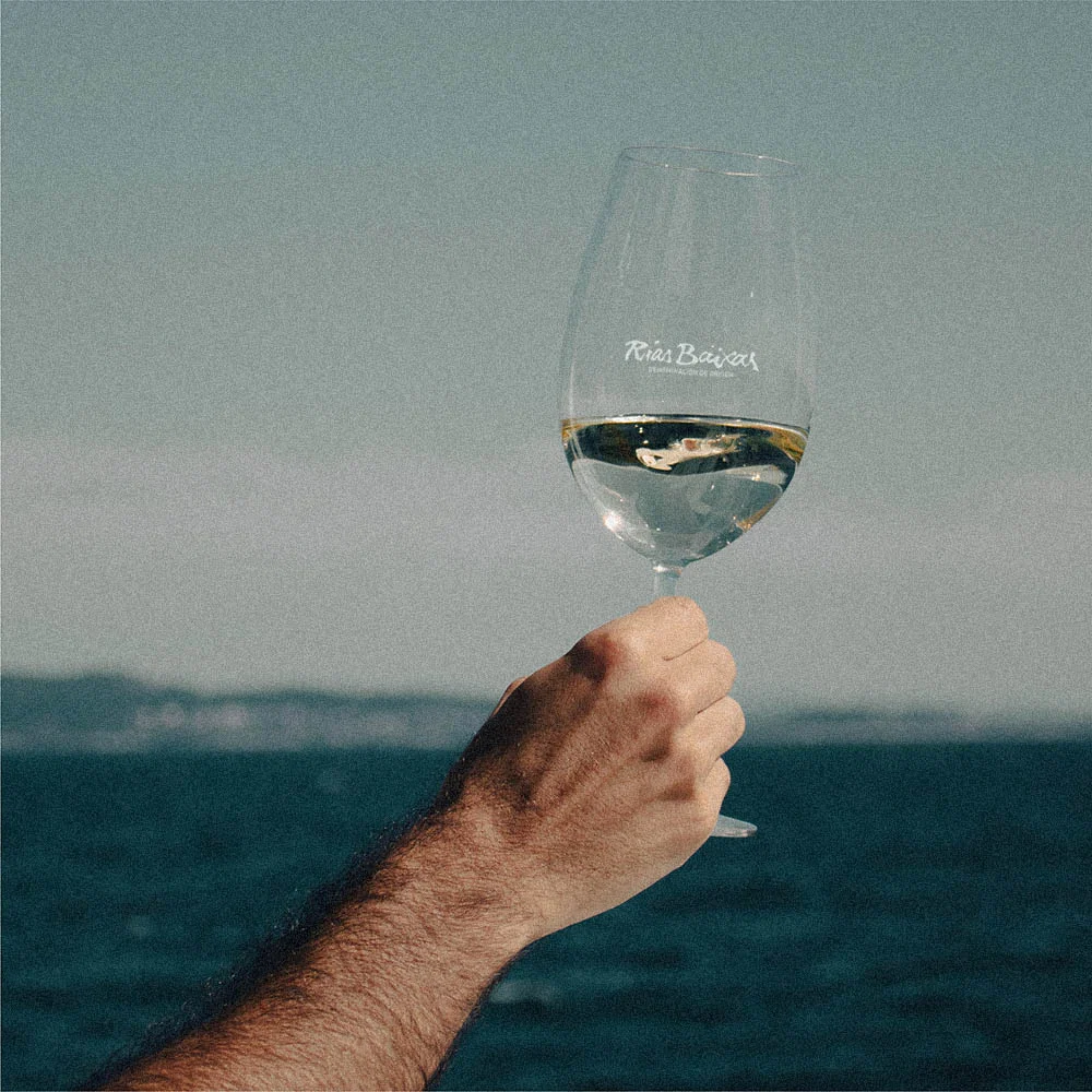 Mano de una persona levantando una copa de vino blanco D.O. Rías Baixas