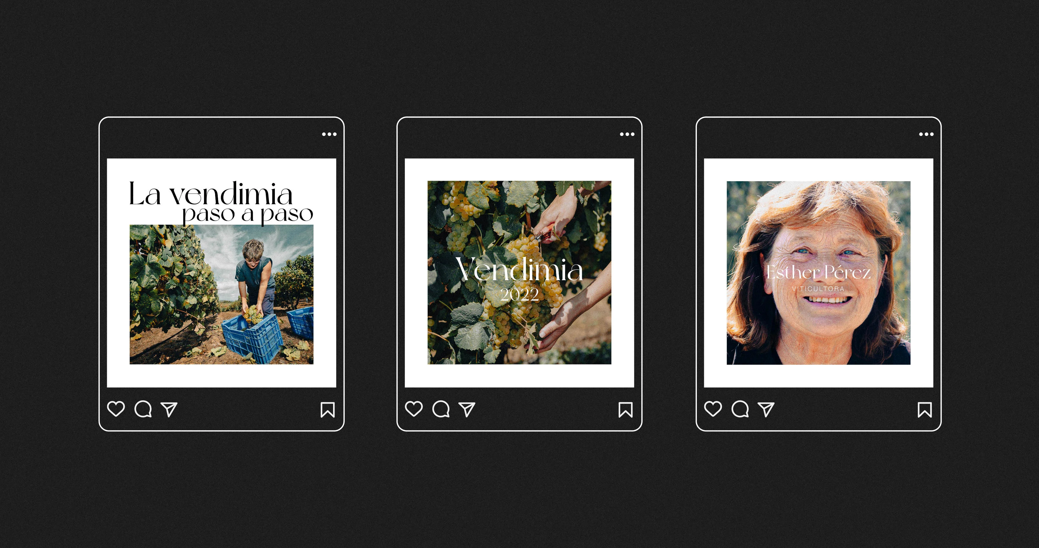 Tres ejemplos del resultado del diseño D.O. Rías Baixas en el feed de Instagram