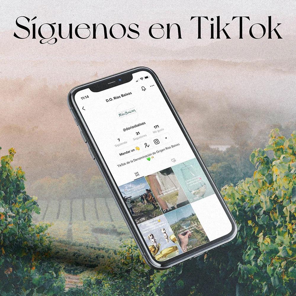 Mockup de un dispositivo movil mostrando el perfil de tik tok D.O. Rías Baixas